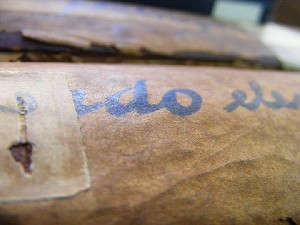 biblioteca 005 copy.jpg